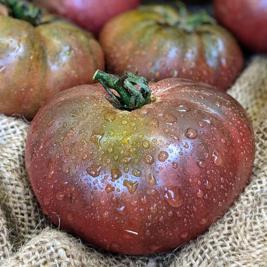 Tomato "Brandywine Black" Heirloom/Beefsteak