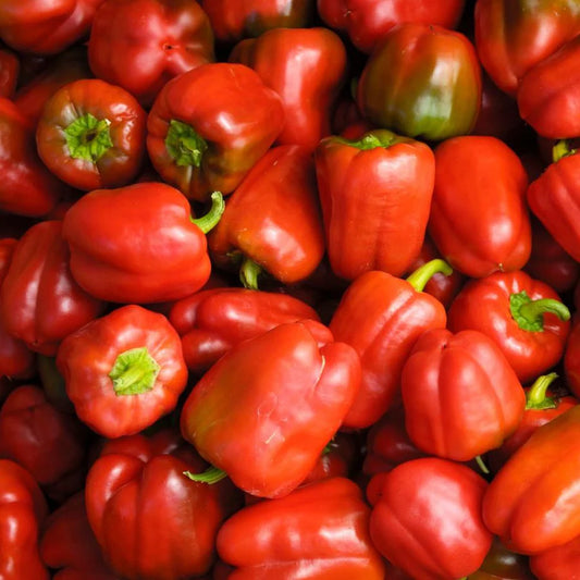 Pepper "Miniature Red" Bell